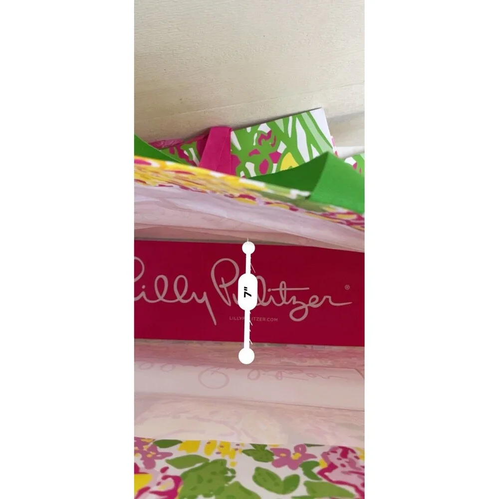 Lilly Pulitzer Shopping Gift Bag Lot Assorted Sizes Floral Flamingo Pink Green
